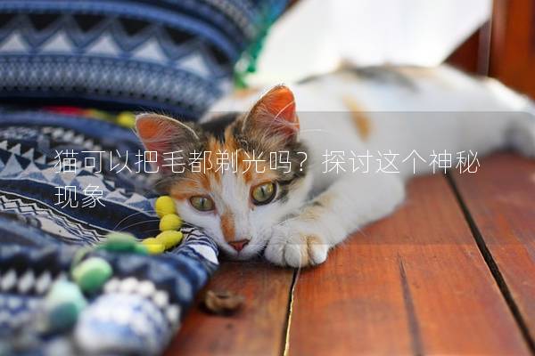 猫可以把毛都剃光吗？探讨这个神秘现象