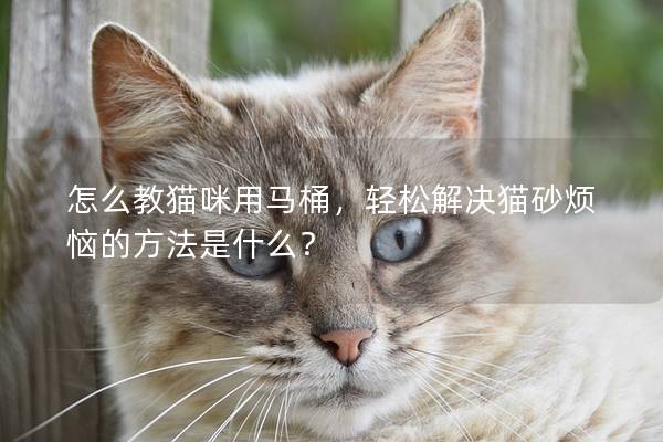 怎么教猫咪用马桶，轻松解决猫砂烦恼的方法是什么？