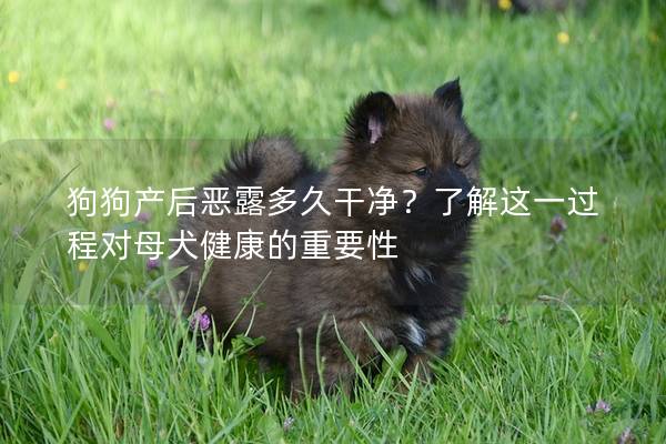 狗狗产后恶露多久干净？了解这一过程对母犬健康的重要性