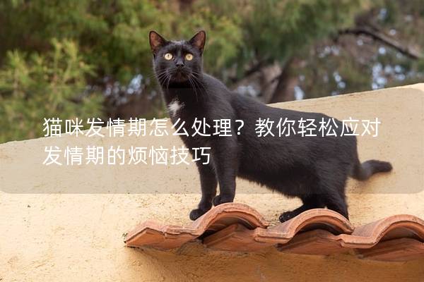 猫咪发情期怎么处理？教你轻松应对发情期的烦恼技巧