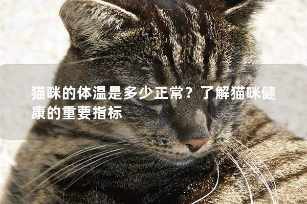 猫咪的体温是多少正常？了解猫咪健康的重要指标