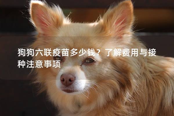 狗狗六联疫苗多少钱？了解费用与接种注意事项