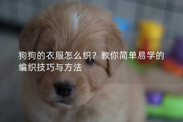 狗狗的衣服怎么织？教你简单易学的编织技巧与方法