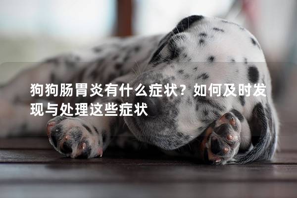 狗狗肠胃炎有什么症状？如何及时发现与处理这些症状