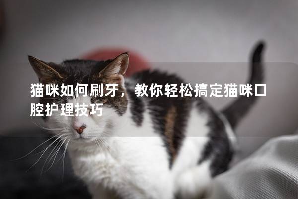 猫咪如何刷牙，教你轻松搞定猫咪口腔护理技巧