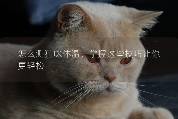 怎么测猫咪体温，掌握这些技巧让你更轻松