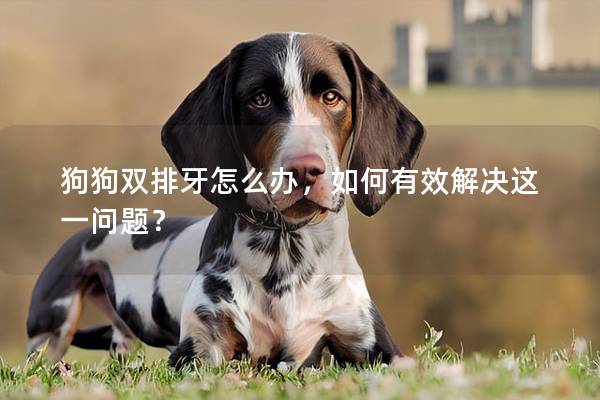 狗狗双排牙怎么办，如何有效解决这一问题？