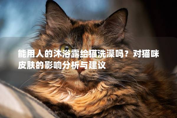 能用人的沐浴露给猫洗澡吗？对猫咪皮肤的影响分析与建议