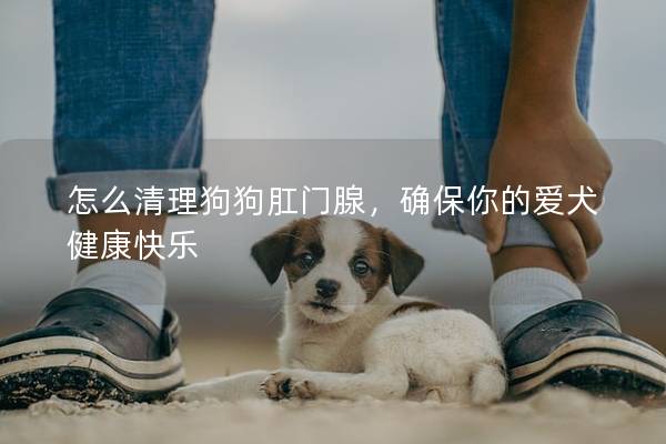 怎么清理狗狗肛门腺，确保你的爱犬健康快乐