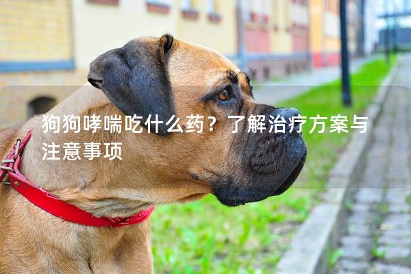 狗狗哮喘吃什么药？了解治疗方案与注意事项