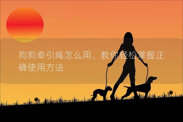 狗狗牵引绳怎么用，教你轻松掌握正确使用方法