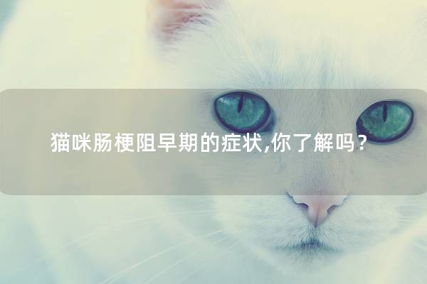 猫咪肠梗阻早期的症状,你了解吗？