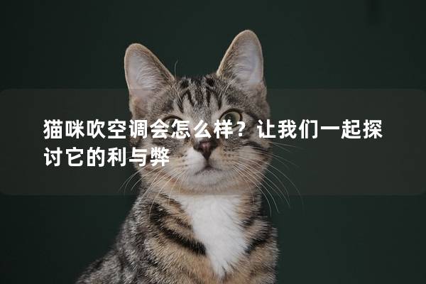 猫咪吹空调会怎么样？让我们一起探讨它的利与弊