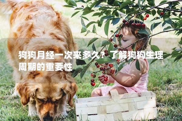 狗狗月经一次来多久？了解狗狗生理周期的重要性