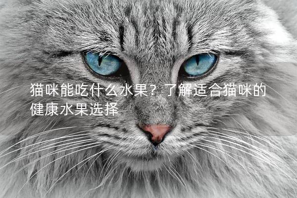 猫咪能吃什么水果？了解适合猫咪的健康水果选择