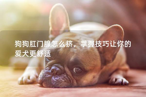 狗狗肛门腺怎么挤，掌握技巧让你的爱犬更舒适