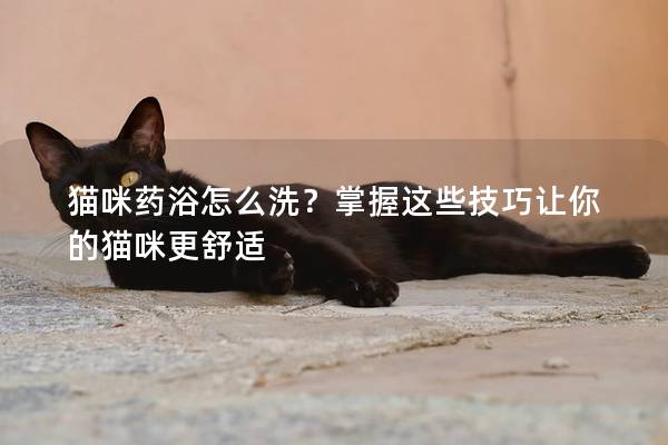 猫咪药浴怎么洗？掌握这些技巧让你的猫咪更舒适