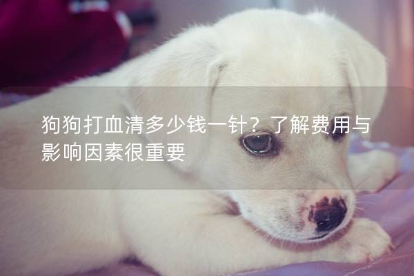 狗狗打血清多少钱一针？了解费用与影响因素很重要