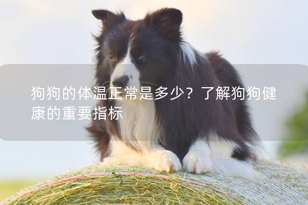 狗狗的体温正常是多少？了解狗狗健康的重要指标