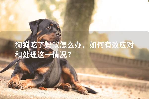 狗狗吃了蚂蚁怎么办，如何有效应对和处理这一情况？