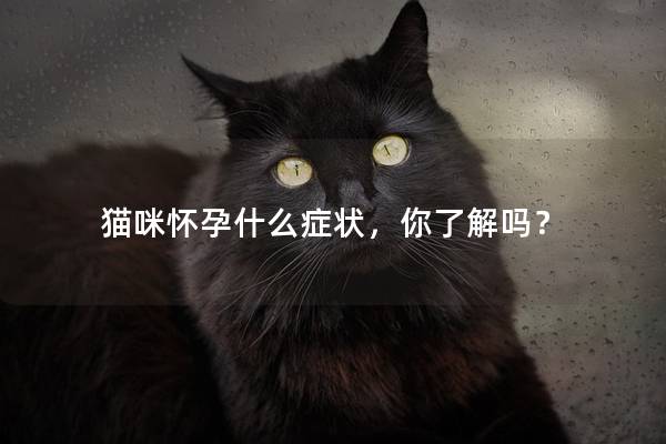 猫咪怀孕什么症状，你了解吗？