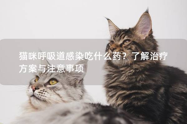 猫咪呼吸道感染吃什么药？了解治疗方案与注意事项