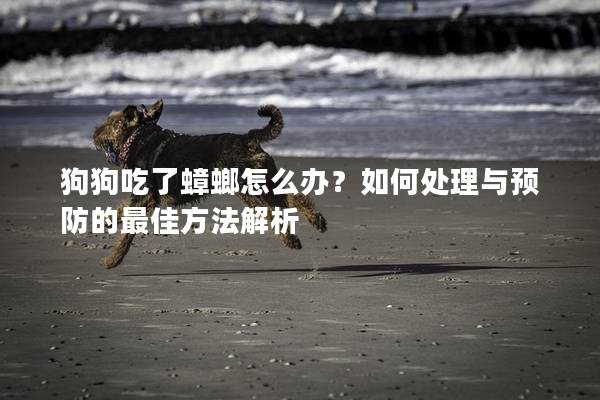 狗狗吃了蟑螂怎么办？如何处理与预防的最佳方法解析