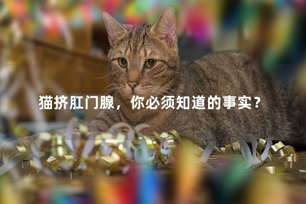 猫挤肛门腺，你必须知道的事实？