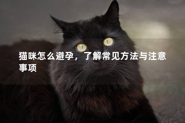 猫咪怎么避孕，了解常见方法与注意事项