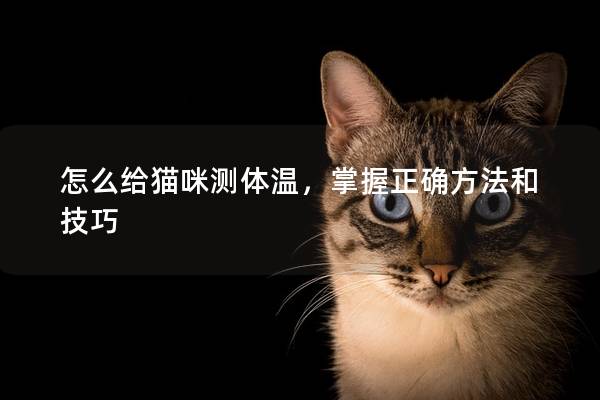 怎么给猫咪测体温，掌握正确方法和技巧