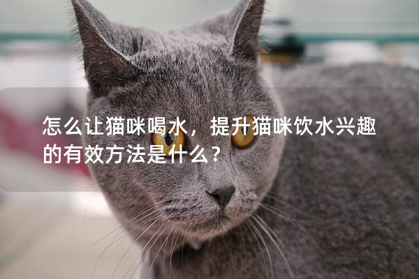 怎么让猫咪喝水，提升猫咪饮水兴趣的有效方法是什么？