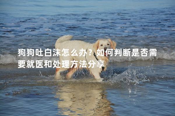 狗狗吐白沫怎么办？如何判断是否需要就医和处理方法分享