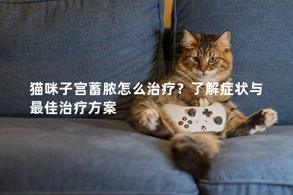 猫咪子宫蓄脓怎么治疗？了解症状与最佳治疗方案