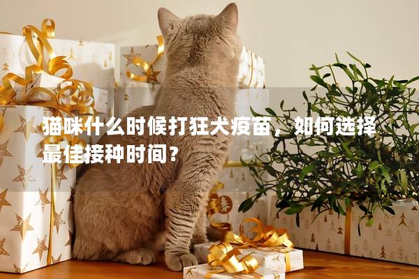 猫咪什么时候打狂犬疫苗，如何选择最佳接种时间？