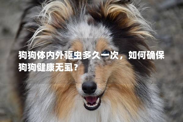 狗狗体内外驱虫多久一次，如何确保狗狗健康无虱？