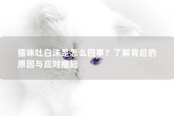 猫咪吐白沫是怎么回事？了解背后的原因与应对措施