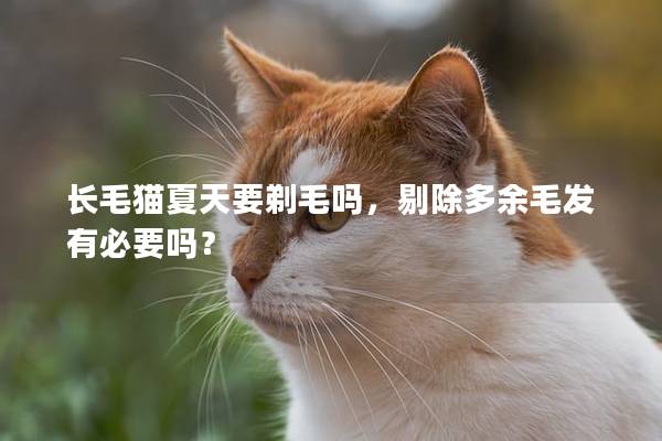 长毛猫夏天要剃毛吗，剔除多余毛发有必要吗？