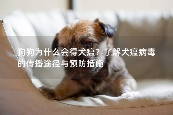 狗狗为什么会得犬瘟？了解犬瘟病毒的传播途径与预防措施