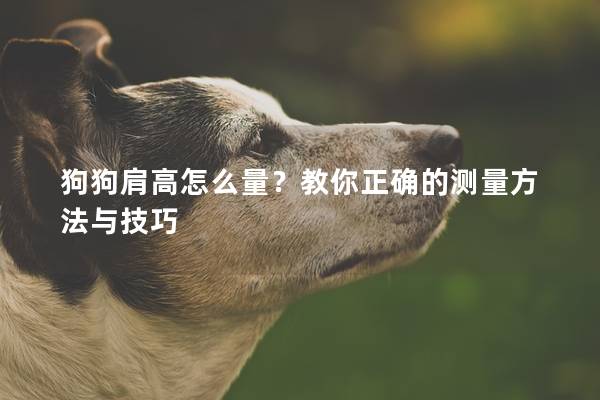 狗狗肩高怎么量？教你正确的测量方法与技巧