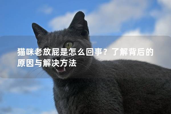 猫咪老放屁是怎么回事？了解背后的原因与解决方法