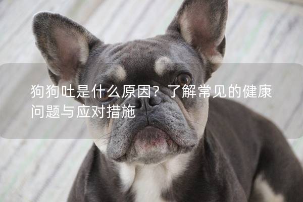 狗狗吐是什么原因？了解常见的健康问题与应对措施