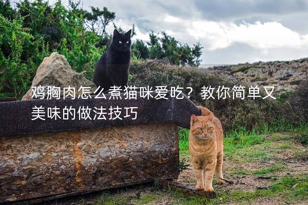 鸡胸肉怎么煮猫咪爱吃？教你简单又美味的做法技巧