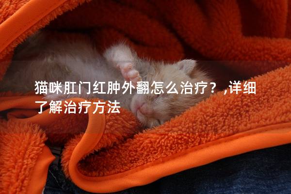 猫咪肛门红肿外翻怎么治疗？,详细了解治疗方法