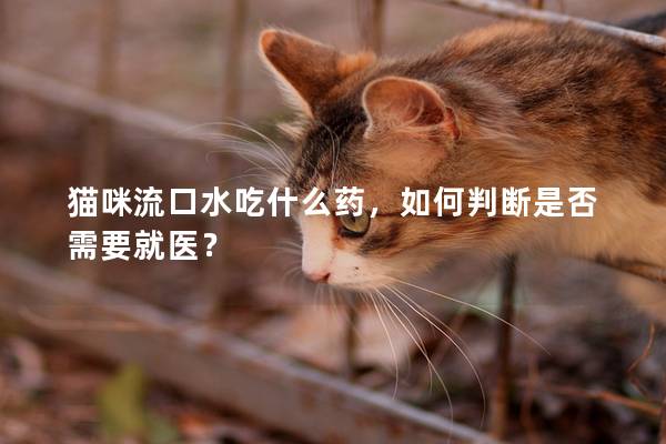 猫咪流口水吃什么药，如何判断是否需要就医？