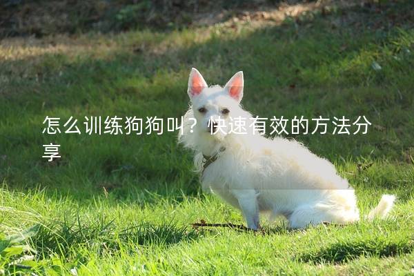 怎么训练狗狗叫？快速有效的方法分享