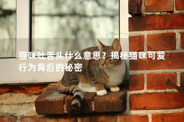 猫咪吐舌头什么意思？揭秘猫咪可爱行为背后的秘密