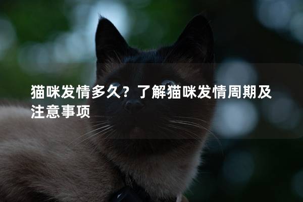 猫咪发情多久？了解猫咪发情周期及注意事项