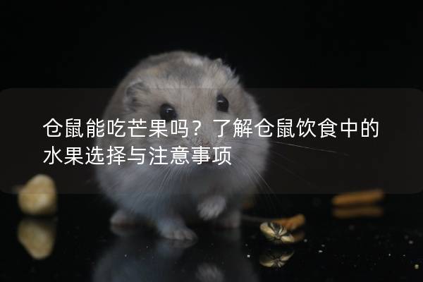 仓鼠能吃芒果吗?了解仓鼠饮食中的水果选择与注意事项 仓鼠能吃芒果吗?了解仓鼠饮食中的水果选择与注意事项