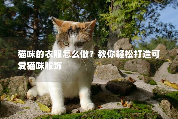 猫咪的衣服怎么做？教你轻松打造可爱猫咪服饰