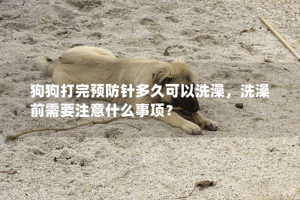 狗狗打完预防针多久可以洗澡,洗澡前需要注意什么事项? 狗狗打完预防针多久可以洗澡,洗澡前需要注意什么事项?